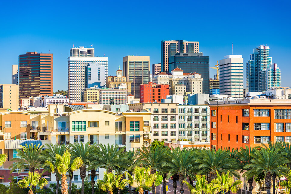 A city skyline with palm trees in the foreground